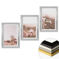 WANDBILDER 3er Set - 20x30 cm Silberner Rahmen - Sommerlandschaften mit Wildblumenwiesen - Silberfarben, Kunststoff (20/30cm) - ArtPrintCave