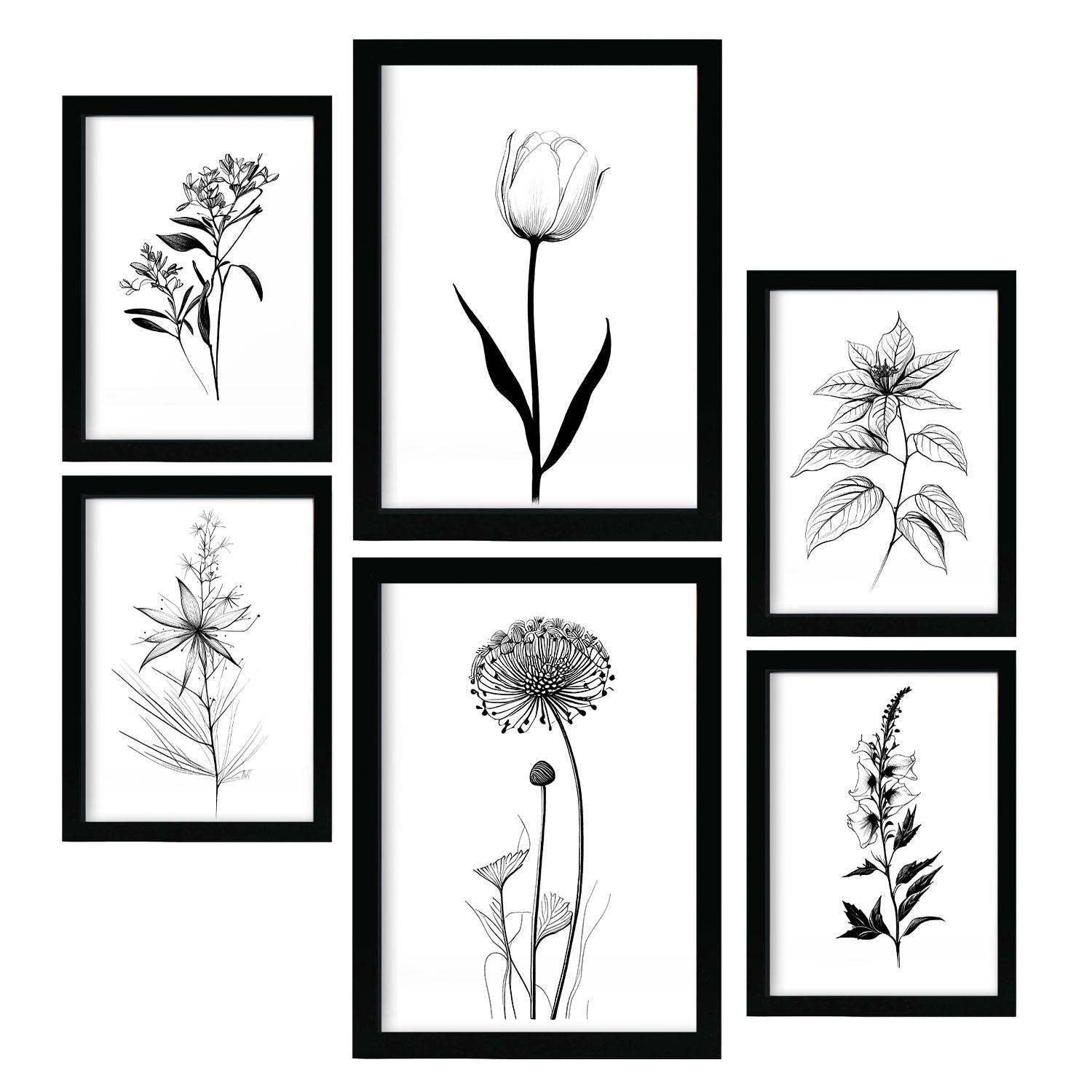 POSTER Set Mit 6 Kleine Blumen Natur Und Botanikdrucke Mit Blumenmotiven In Klassischem Schwarz Und Weiß Innenarchitektur A3 & A4 Schwarzer Rahmen - Schwarz, Papier (29/3cm) - Nacnic