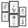 POSTER Set Mit 6 Kleine Blumen Natur Und Botanikdrucke Mit Blumenmotiven In Klassischem Schwarz Und Weiß Innenarchitektur A3 & A4 Schwarzer Rahmen - Schwarz, Papier (29/3cm) - Nacnic
