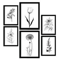 POSTER Set Mit 6 Kleine Blumen Natur Und Botanikdrucke Mit Blumenmotiven In Klassischem Schwarz Und Weiß Innenarchitektur A3 & A4 Schwarzer Rahmen - Schwarz, Papier (29/3cm) - Nacnic