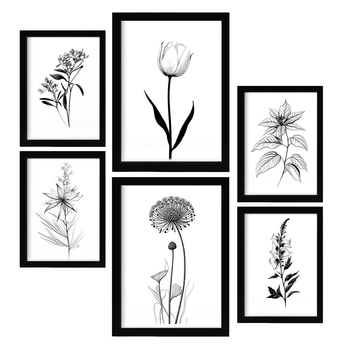 POSTER Set Mit 6 Kleine Blumen Natur Und Botanikdrucke Mit Blumenmotiven In Klassischem Schwarz Und Weiß Innenarchitektur A3 & A4 Schwarzer Rahmen - Schwarz, Papier (29/3cm) - Nacnic