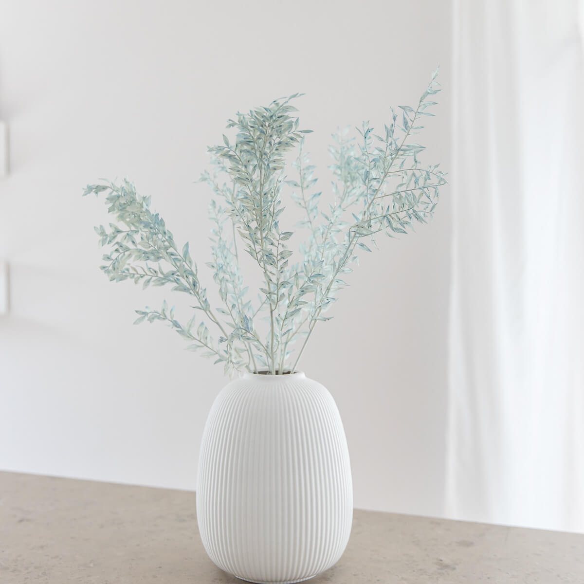 RUSKUS / Mäusedorne konserviert - weiß - Weiß, Naturmaterialien (75cm) - Lykke & You