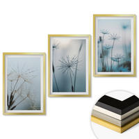 WANDBILDER 3er Set - 40x60 cm Goldrahmen - Löwenzahn mit Wassertropfen - Goldfarben, Kunststoff (40/60cm) - ArtPrintCave