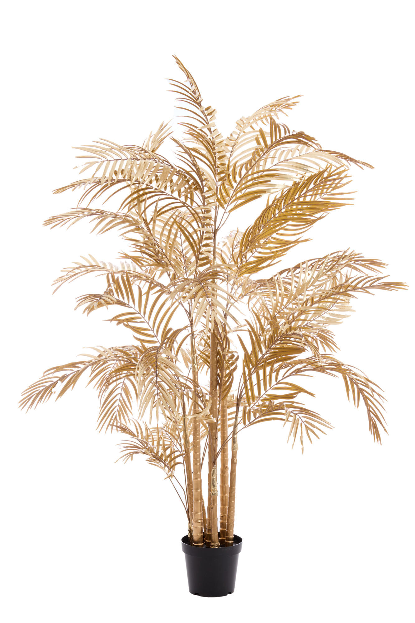 TOPFPALME Gold 198/160/198 cm - Goldfarben, Kunststoff (198cm) - Light & Living