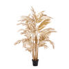 TOPFPALME Gold 198/160/198 cm - Goldfarben, Kunststoff (198cm) - Light & Living