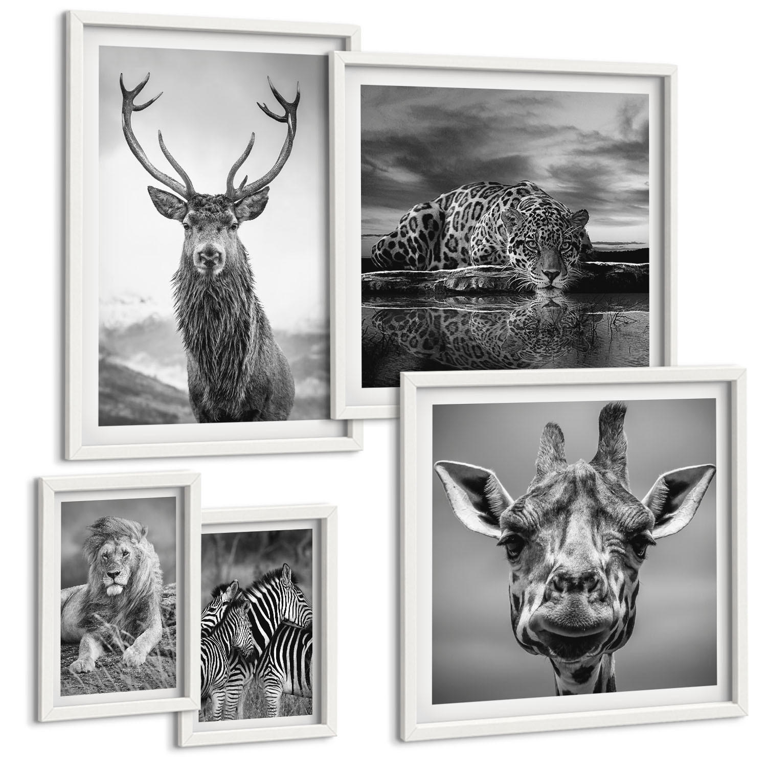 BILDER SET 5er Set - 50x50 cm & 20x30 cm & 40x60 cm Weißer Rahmen - Wildtiere Löwe Jaguar Giraffe Zebras - Weiß, Kunststoff (40/60cm) - TULUP