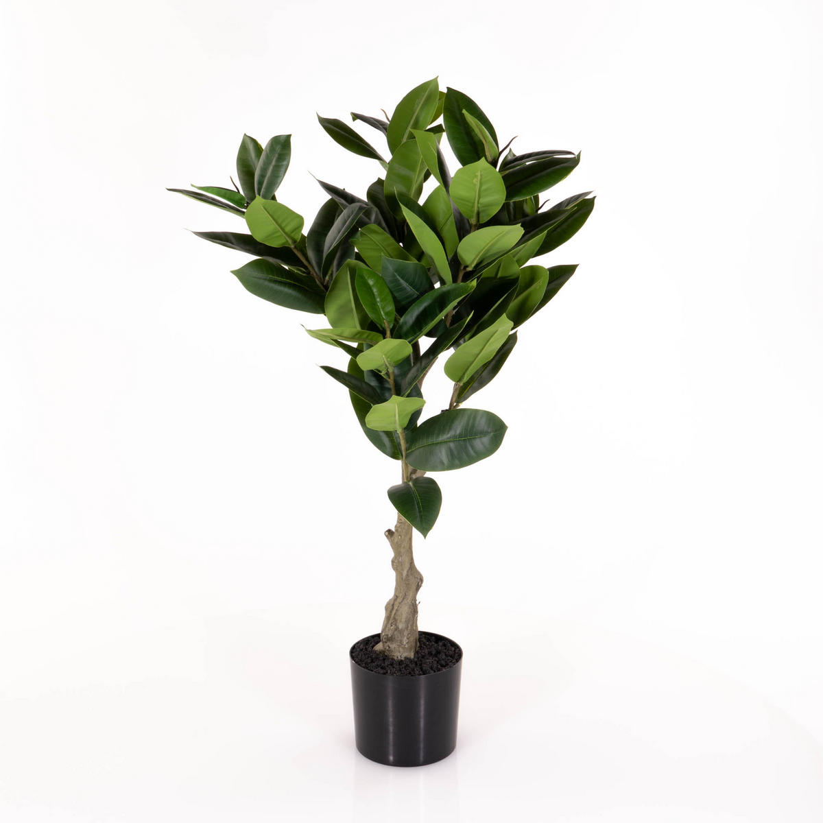 DEKOPFLANZE Rubber Tree 48/48/69 cm - Grün, Kunststoff (69cm) - Present Time