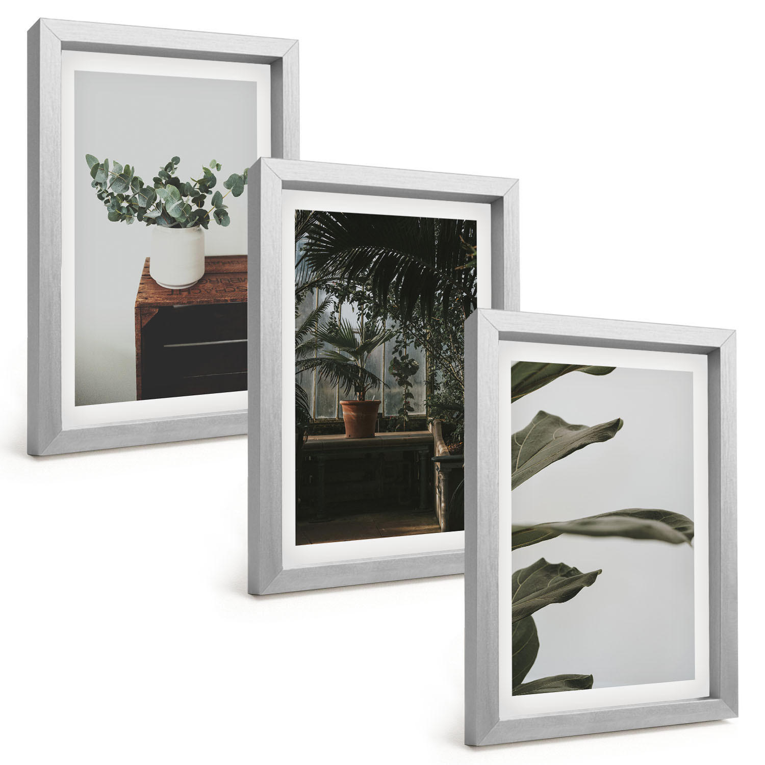 BILDER SET 3er Set - 20x30 cm Silberner Rahmen - Rustikale Topfpflanzen - Silberfarben, Kunststoff (20/30cm) - TULUP