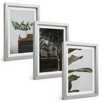 BILDER SET 3er Set - 20x30 cm Silberner Rahmen - Rustikale Topfpflanzen - Silberfarben, Kunststoff (20/30cm) - TULUP