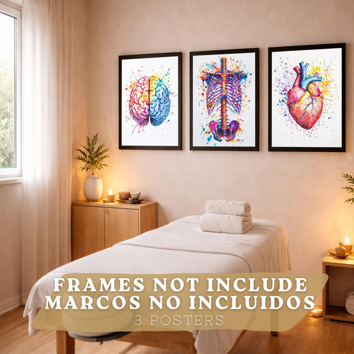 POSTER Set aus 3 Anatomie Mensch Drucke und Wandbilder mit Gehirn Herz Rippen Wirbelsäule Lebendiges Aquarell Design Wanddekoration Größe Rahmenlos A4 - Klar, Papier (21/29.7/3cm) - Nacnic