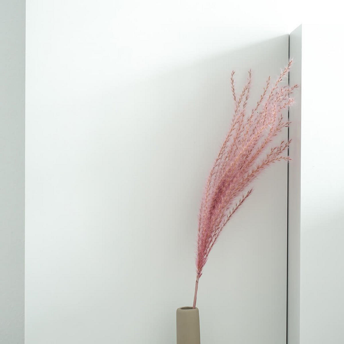 FEDERGRAS I Miscanthus - die zurückhaltende Deko - beige / 60 cm - Beige, Naturmaterialien (60cm) - Lykke & You