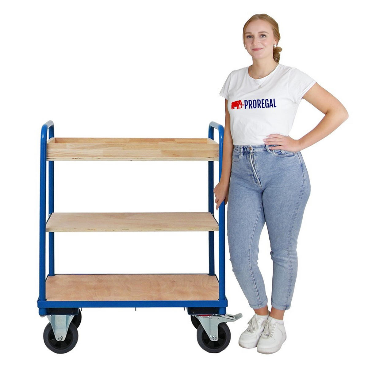 TISCHWAGEN mit 3 Etagen 102x50x97cm Traglast 450kg Lichtblau - Hellblau, Metall (97/50/102cm) - PROREGAL