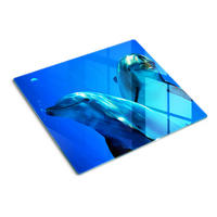 GLASPLATTE 60x52 cm Zwei Delfine - Dunkelblau, Glas (60/52cm) - TULUP