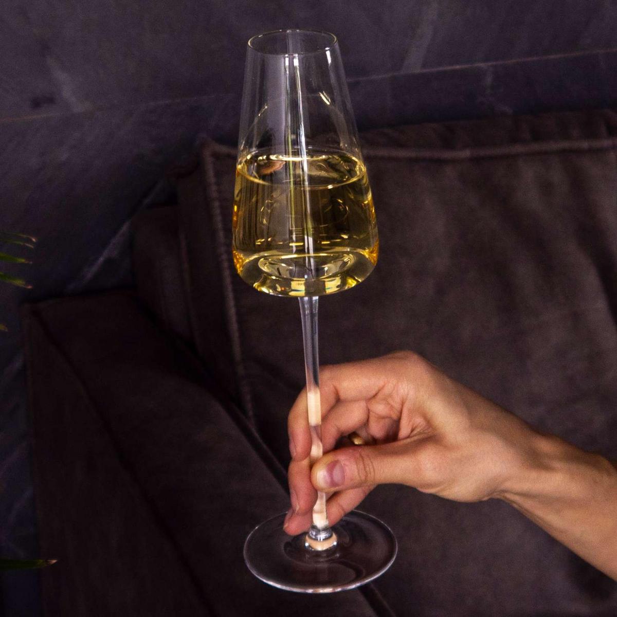 CHAMPAGNERGLÄSER 220 ml (2er-Set) - Transparent, Glas (0.2L) - Intirilife