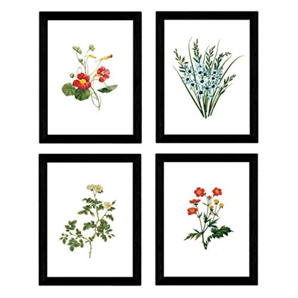POSTER Set mit 4 Botanischen Stils Sensitive A3 Rahmenlos - Klar, Papier (29.7/3cm) - Nacnic