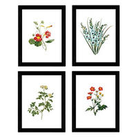 POSTER Set mit 4 Botanischen Stils Sensitive A3 Rahmenlos - Klar, Papier (29.7/3cm) - Nacnic