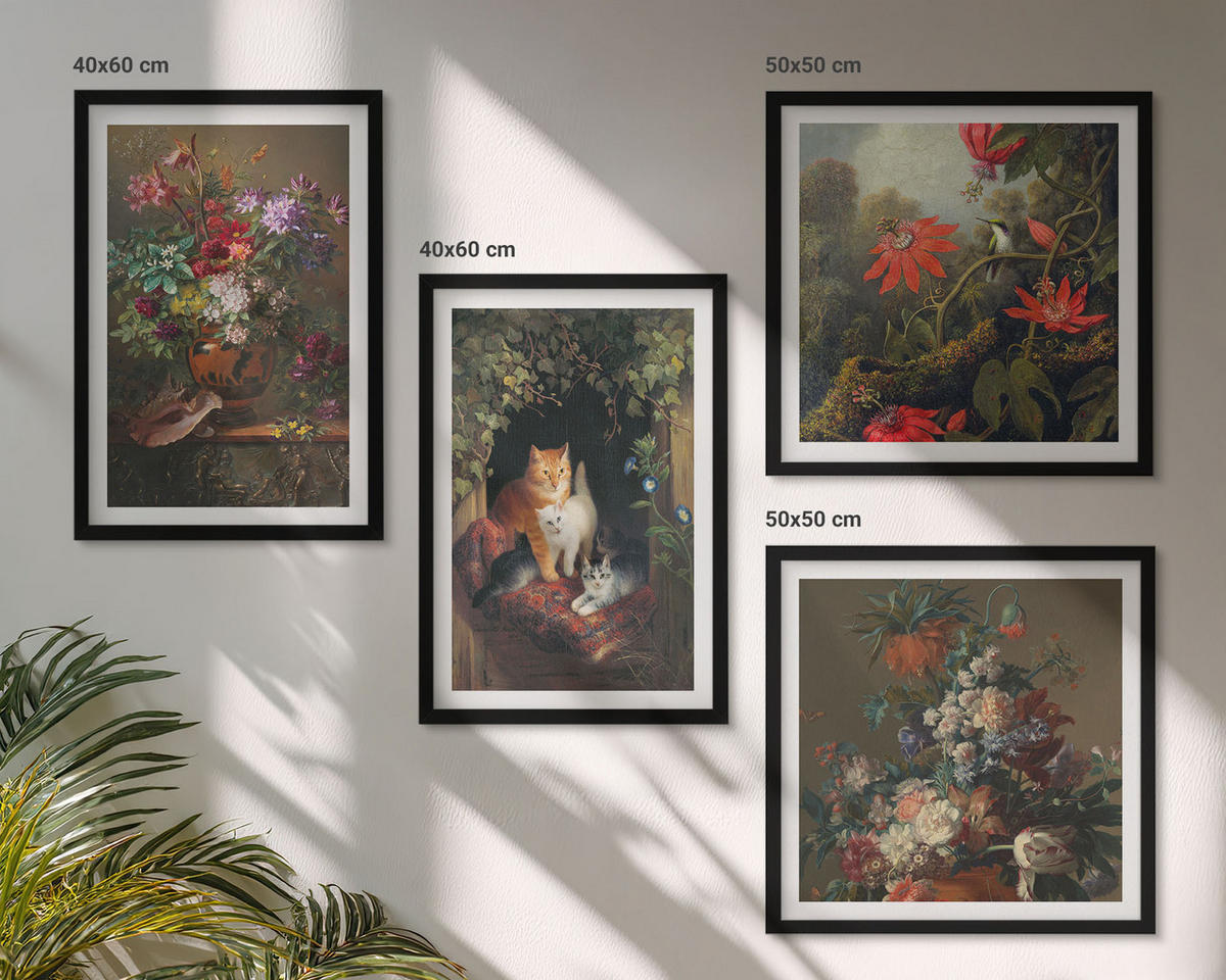 BILDER SET 4er Set - 50x50 cm & 40x60 cm Schwarzer Rahmen - Vintage-Blumen, Katzen, Pflanzen - Schwarz, Kunststoff (50/50cm) - TULUP