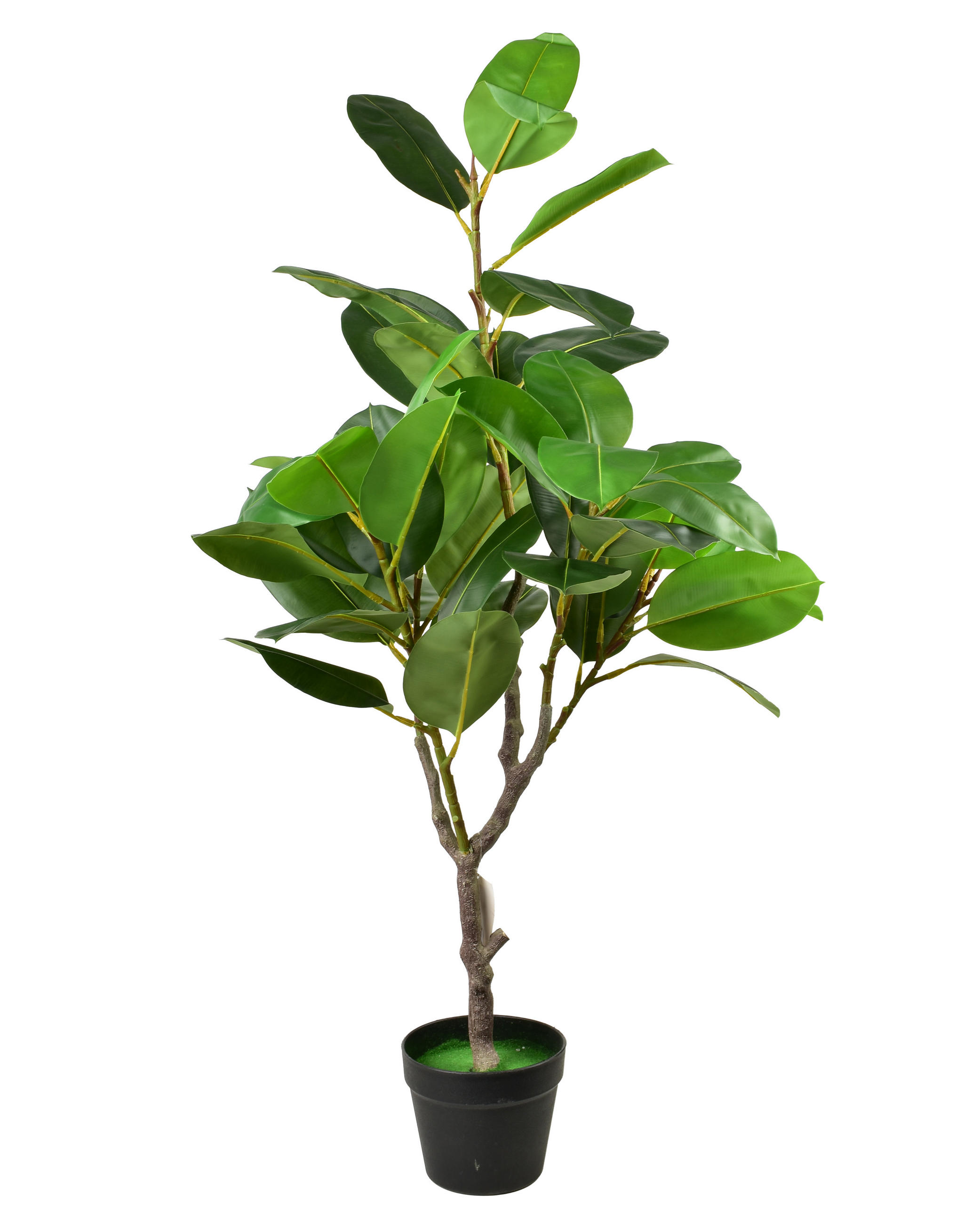 ZRCADLO, sklo, černá - zelená barva, plast (120cm) - Mondex
