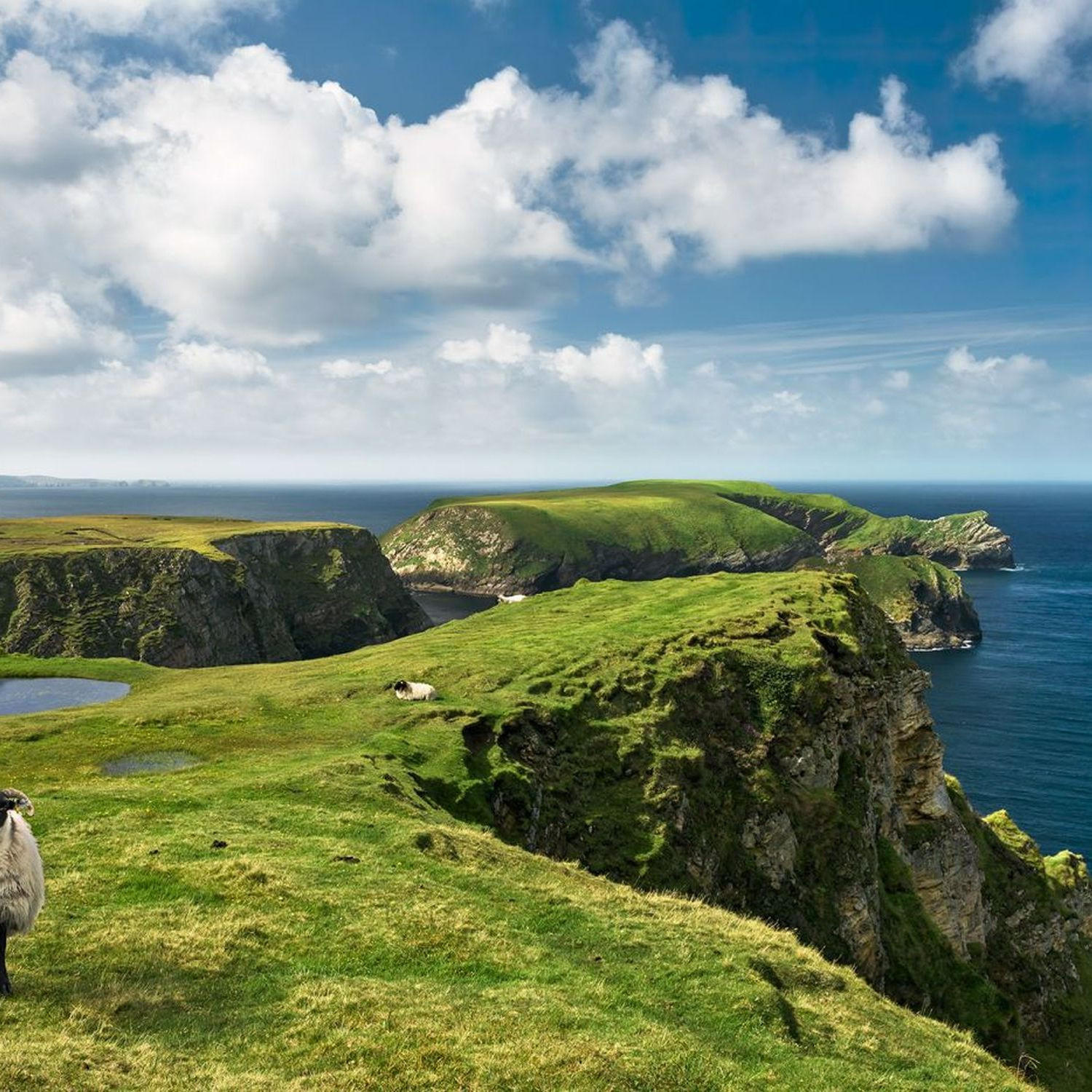 FOTOTAPETE Irland Landschaft 450 x 280 cm - Grün, Papier (450/280cm) - Sanders & Sanders