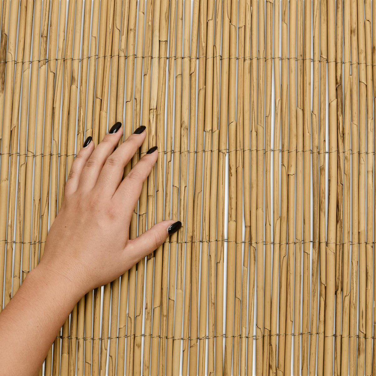 SICHTSCHUTZZAUN SolVision S36 180/600 cm Schilf - Naturfarben, Kunststoff (600/180cm) - Sol Royal