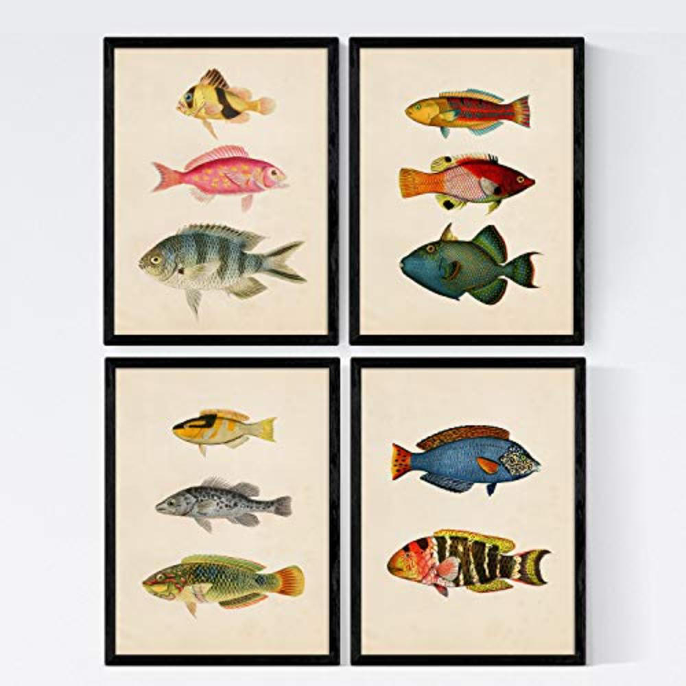 POSTER Set mit 4 Kantabrisch 11 verschiedenen Fischen Hintergrund Jahrgang A4 Schwarzer Rahmen - Schwarz, Papier (29.7/3cm) - Nacnic