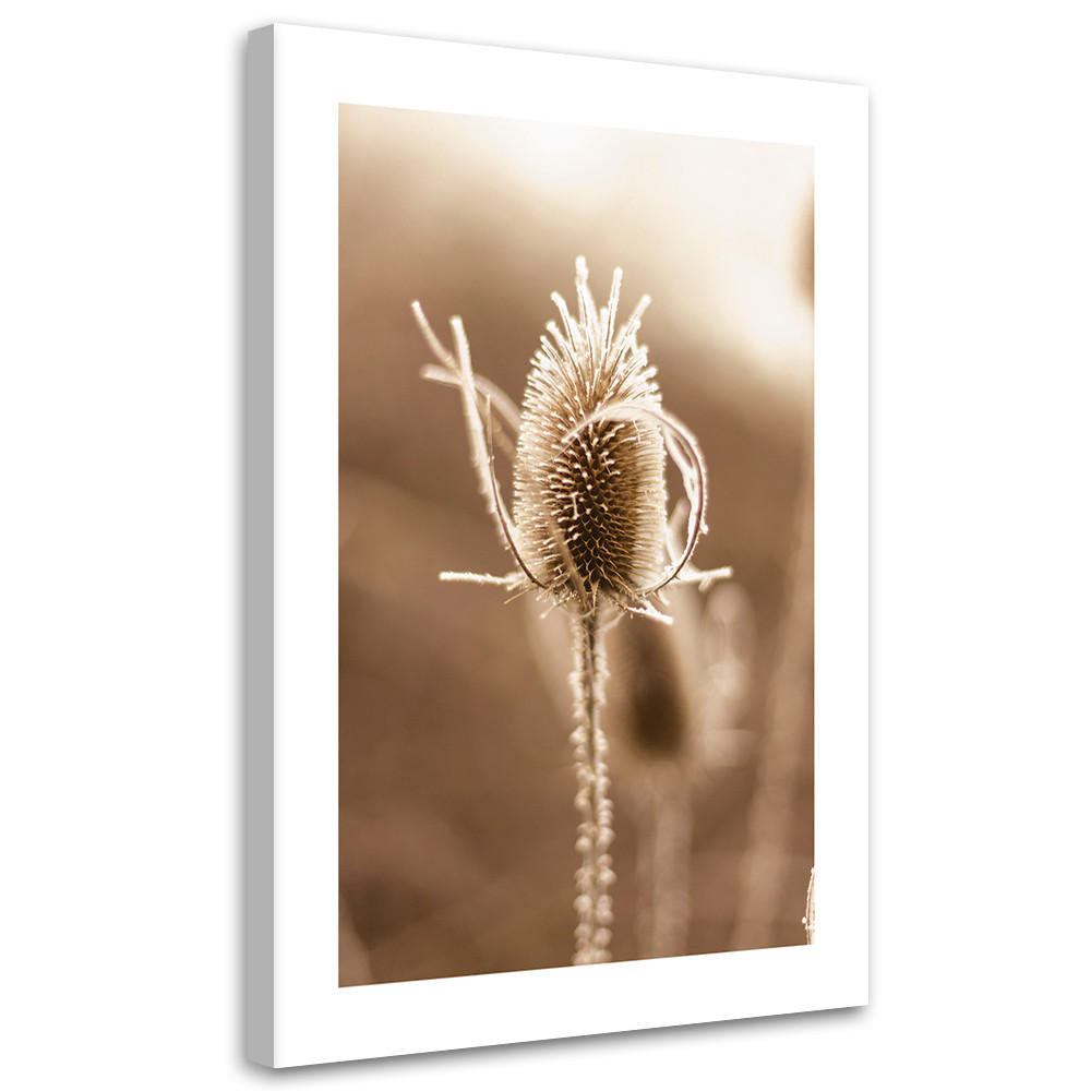 WANDBILD teeblume im makromaßstab - Beige, Textil (40/60cm) - Feeby