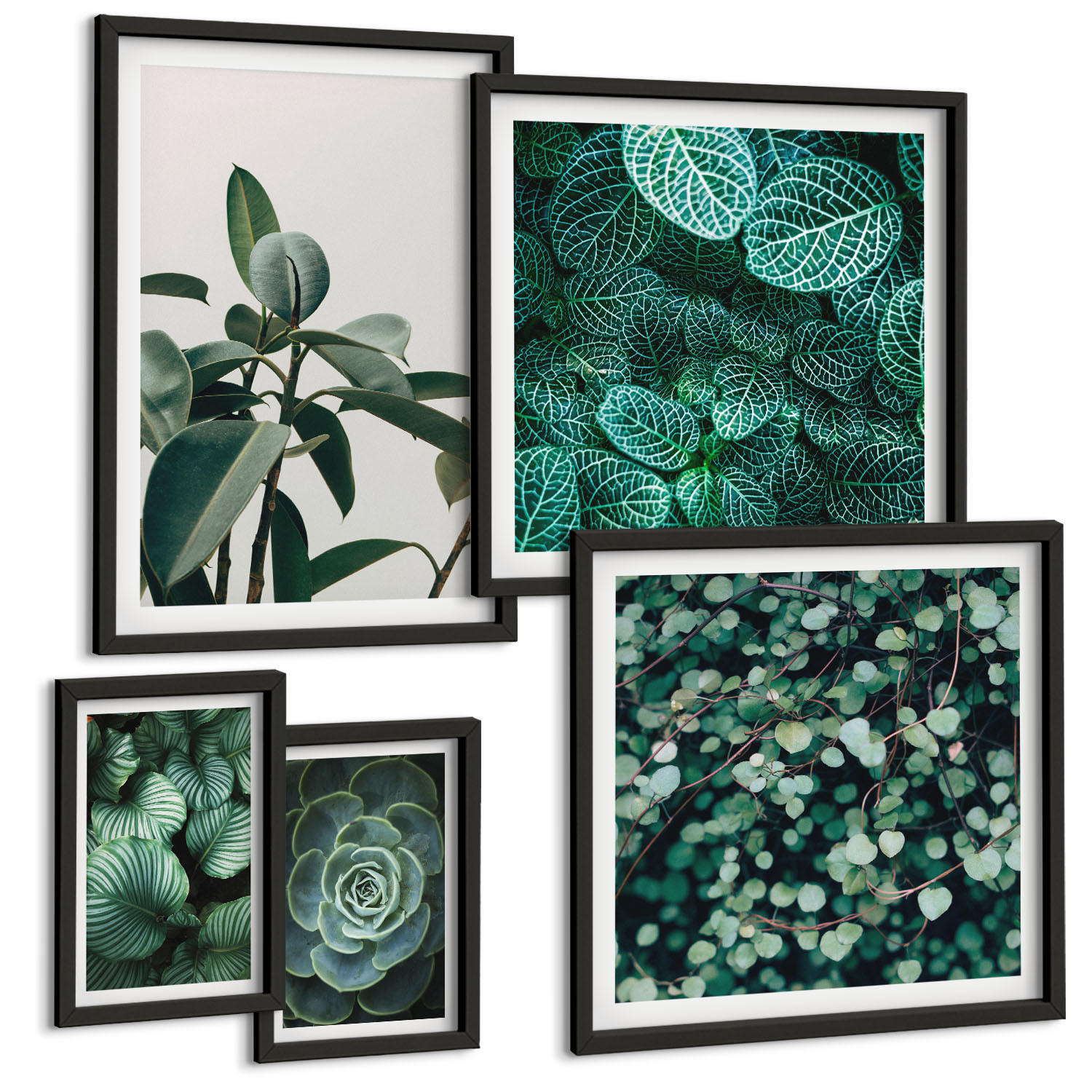 BILDER SET 5er Set - 50x50 cm & 20x30 cm & 40x60 cm Schwarzer Rahmen - Grüne Wälder, kristallklares Wasser - Schwarz, Kunststoff (40/60cm) - TULUP