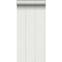 TAPETE gemalte Streifen 53 cm x 10,05 m - Grau, Papier (53/1000cm) - Sanders & Sanders