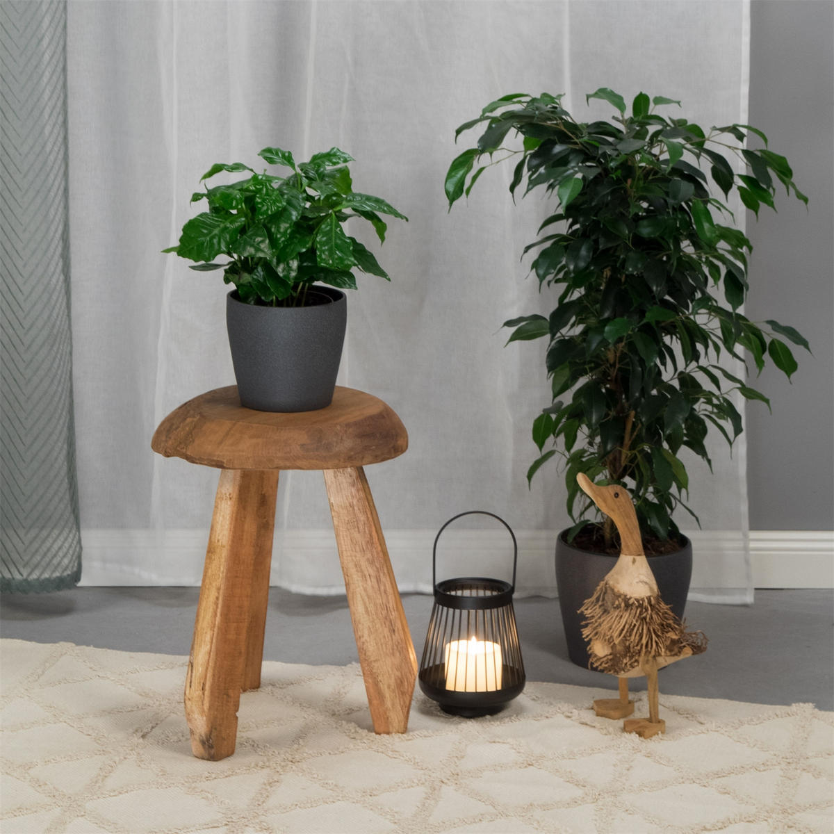 HOCKER Heidi Mahagoni Massivholz, rund naturfarben - Naturfarben, Holz (32/39/32cm) - CREEDWOOD