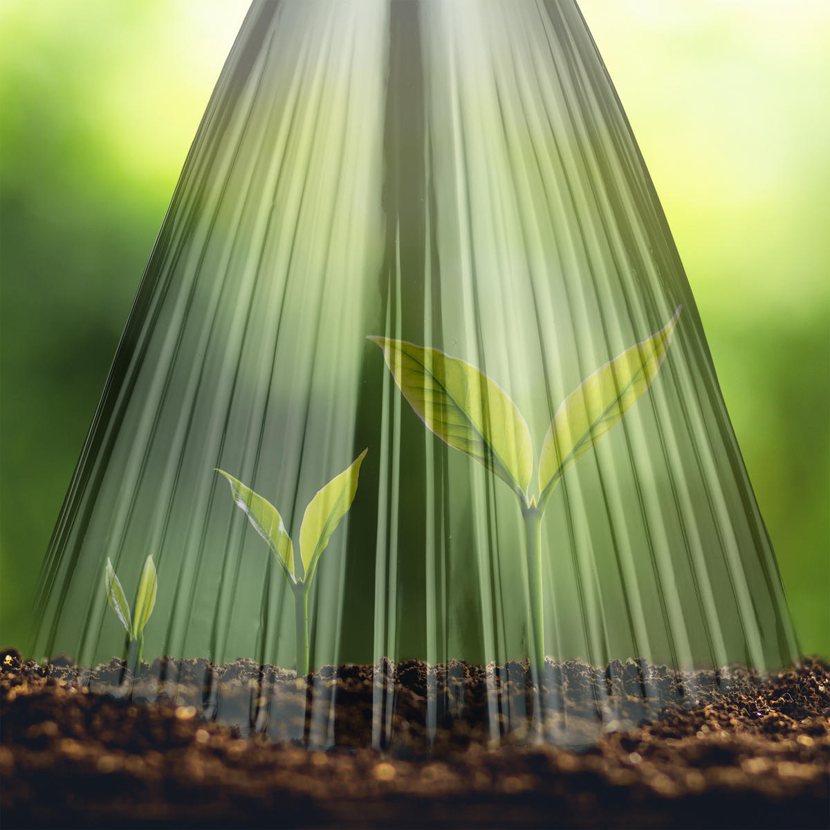 32XPFLANZENHUT - Grün, Kunststoff (19/22/19cm) - Relaxdays