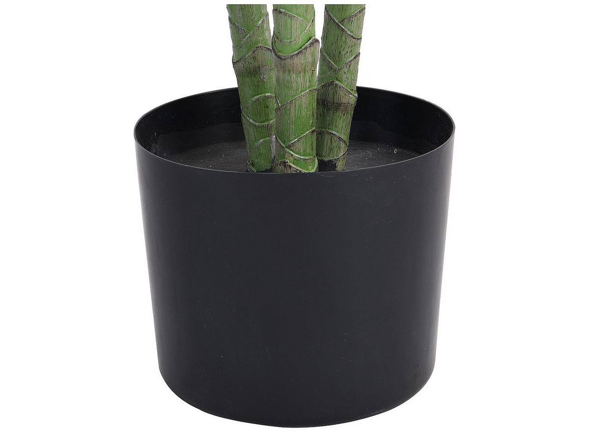 KUNSTPFLANZE - 60 cmcm x 60 cmcm - Plastik, Beton, Zement - Grün - BAJA - Grün, Kunststoff (160cm) - Vente-Unique
