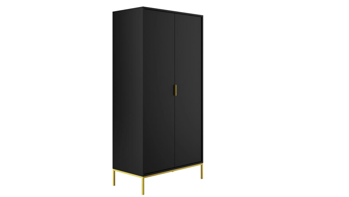 DREHTÜRENSCHRANK Austin - Schwarz, Holzwerkstoff (55/205/100cm) - RAUMHIRSCH FURNITURE