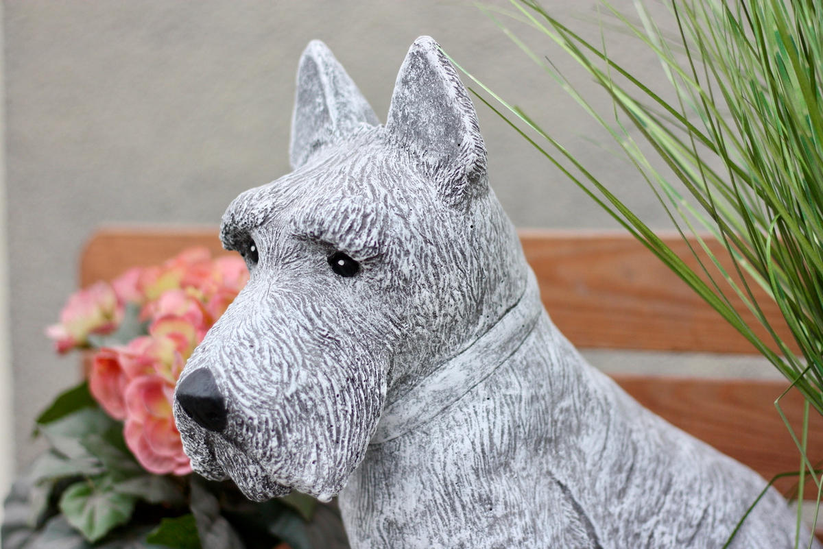 STEINFIGUR Schnauzer, Betonsteinguss - Grau, Stein (36/34/14cm) - stoneandstyle