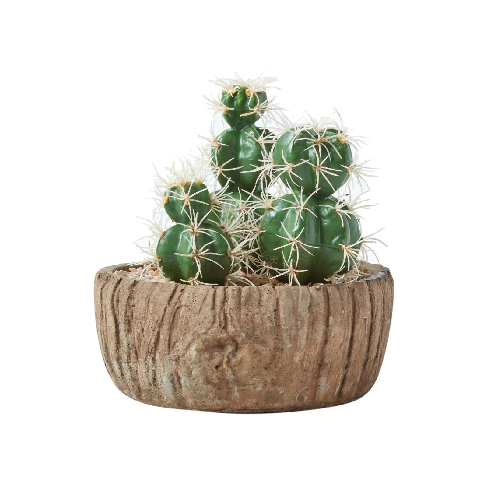 KUNSTPFLANZEN Kakteen in Holzoptik-Schale, 15 cm - Grün, Kunststoff (15cm) - Homescapes