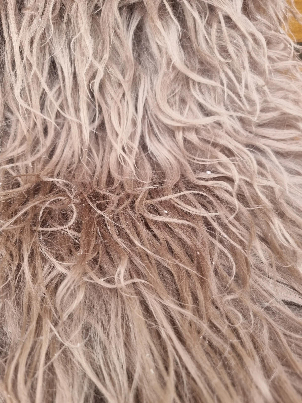 LAMMFELL Island Langhaar natur lockig weich Premium Hell Taupe ca. 135 cm - Taupe, Fell (75/135cm) - Provellus