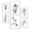 POSTER Set Mit 6 Zarte Blume Größe A3 & A4 Weißer Rahmen - Weiß, Papier (29.7/1cm) - Nacnic