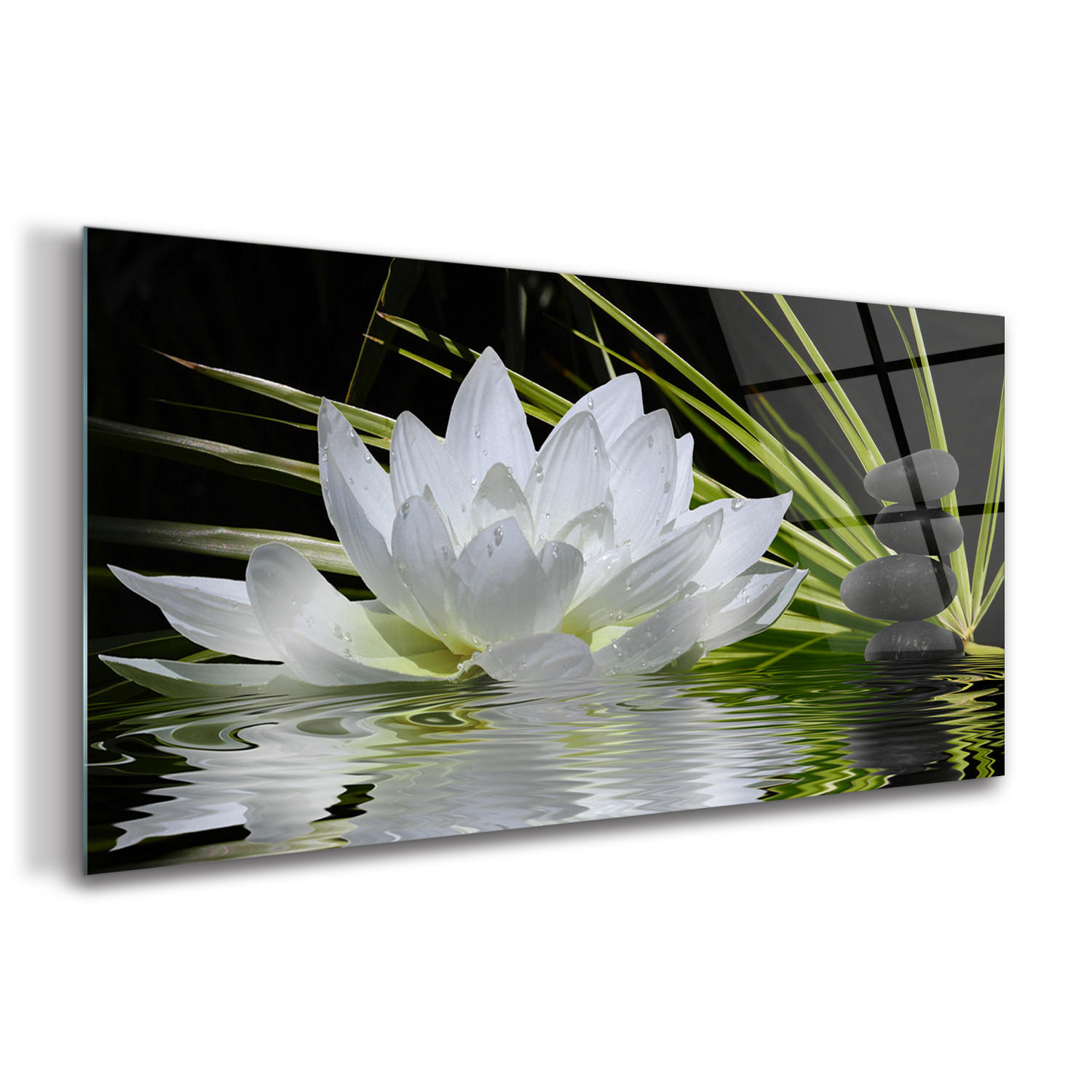 GLASBILD 120x60 cm Lotosblume - Grün, Glas (120/60cm) - TULUP
