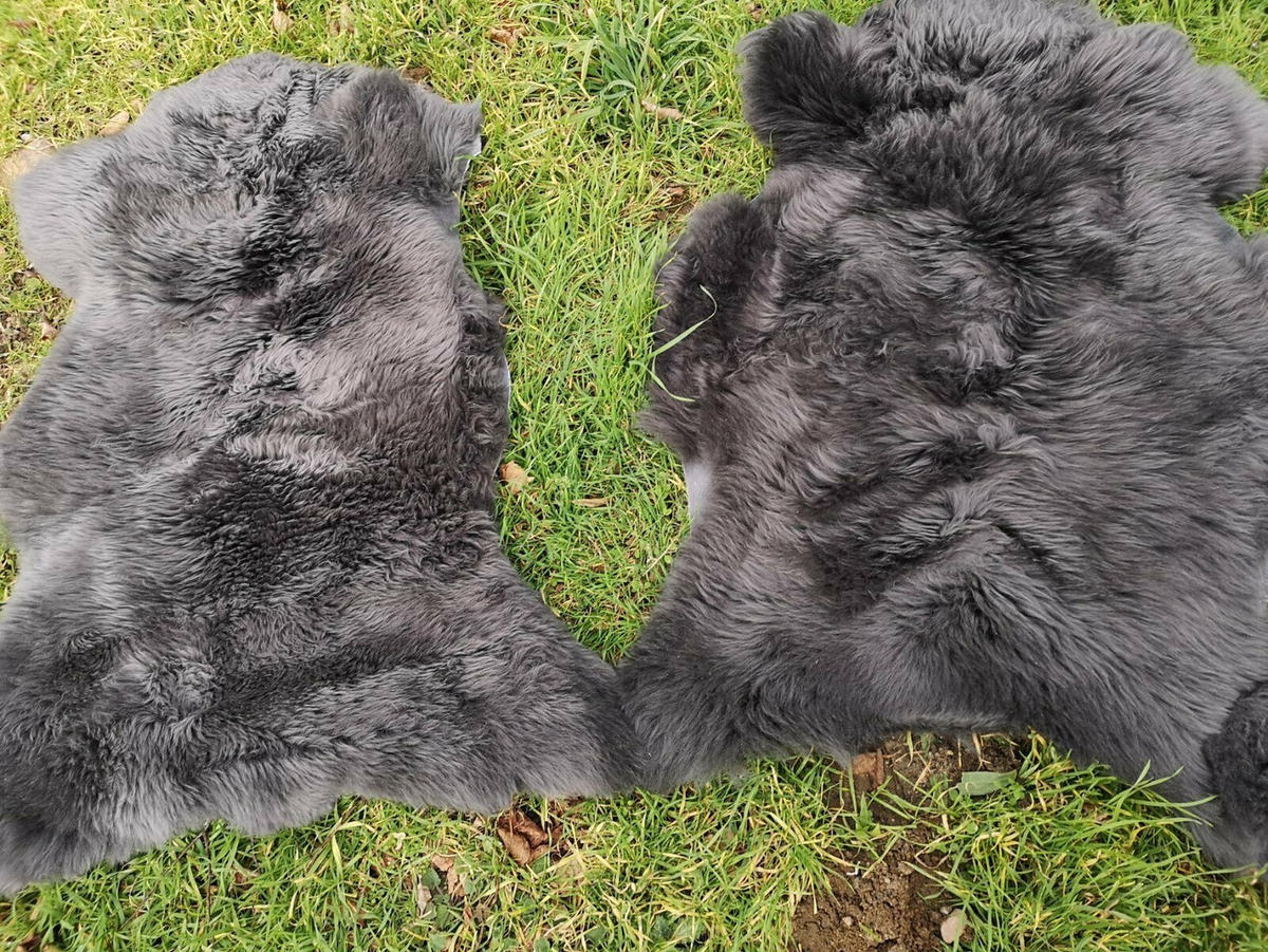 SCHAFFELL Lammfell Dunkelgrau, ca. 130 cm - Dunkelgrau/Grau, Fell (80/130cm) - Provellus