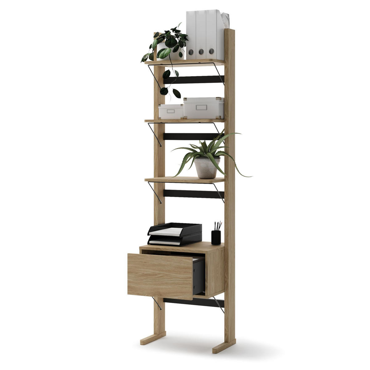 STANDREGAL Ollie Eichenholzoptik 52 cm - Eichefarben, Holzwerkstoff (52/193/18cm) - Selsey