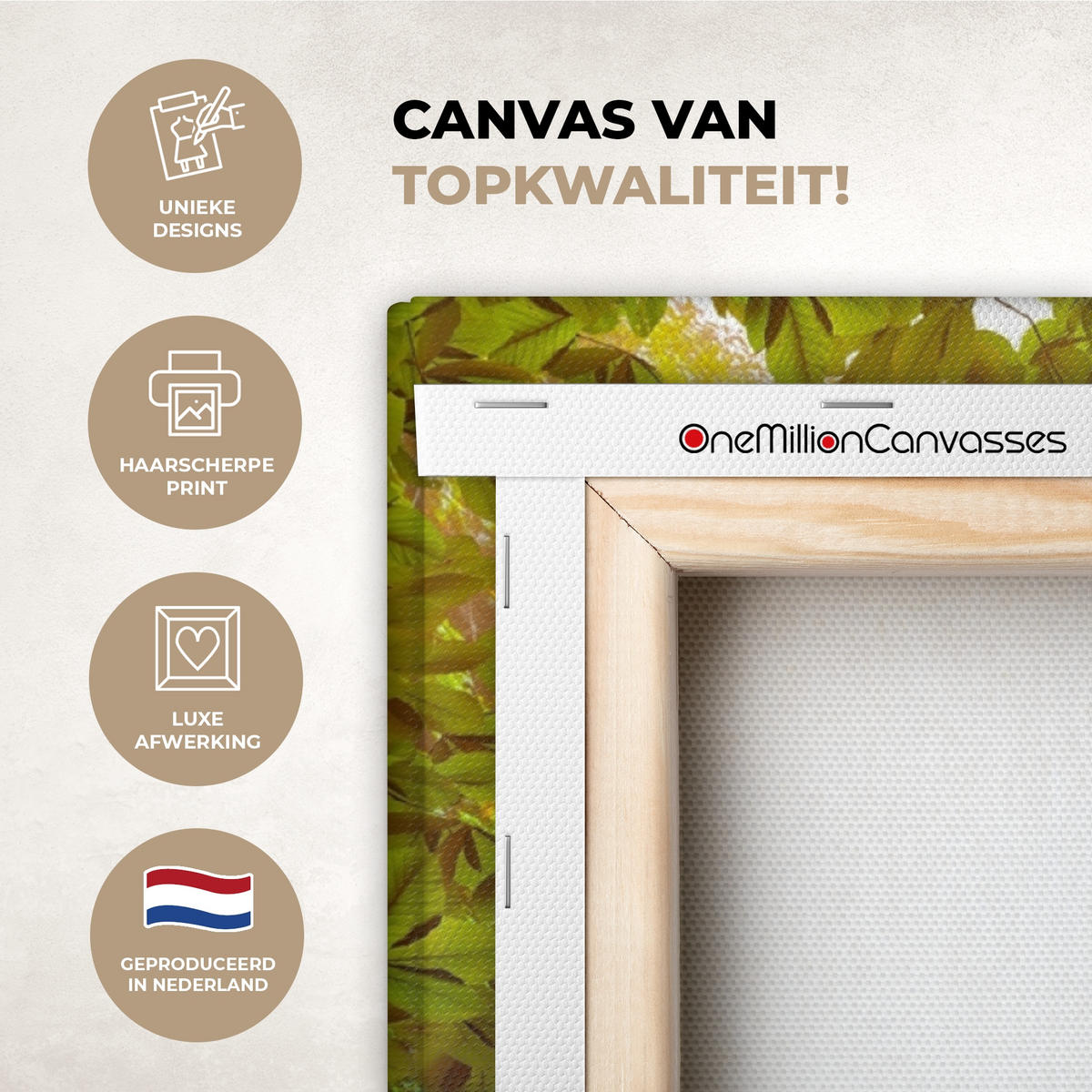 LEINWANDBILD Natur - Wasserfall - Pflanzen - Bäume - Sonne 90x90 cm - Olivgrün, Textil (90/90cm) - MuchoWow