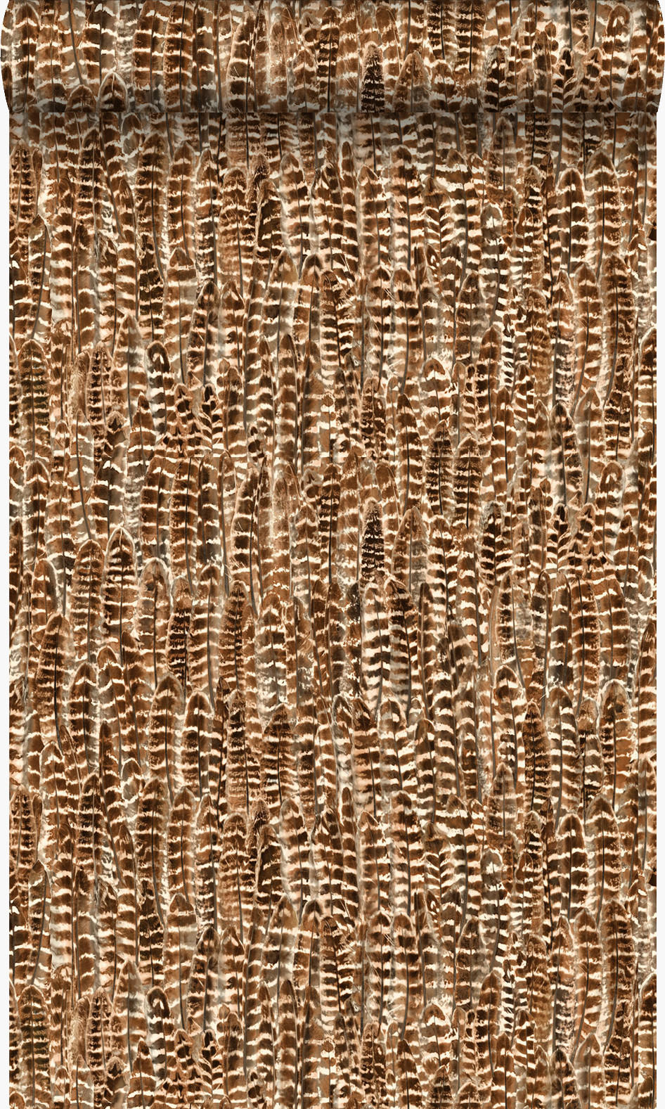 TAPETE Federn 53 cm x 10.05 m - Orange, Papier (53/1000cm) - Origin Wallcoverings