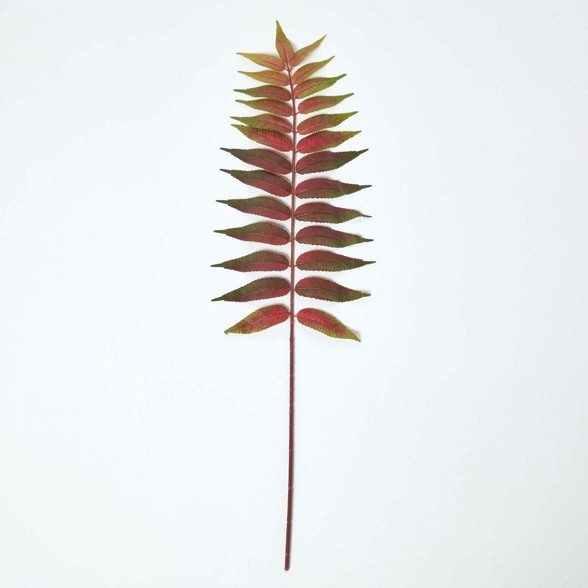 DEKOZWEIG Palmfarn rot-grün, 72 cm - Grün, Kunststoff (72cm) - Homescapes