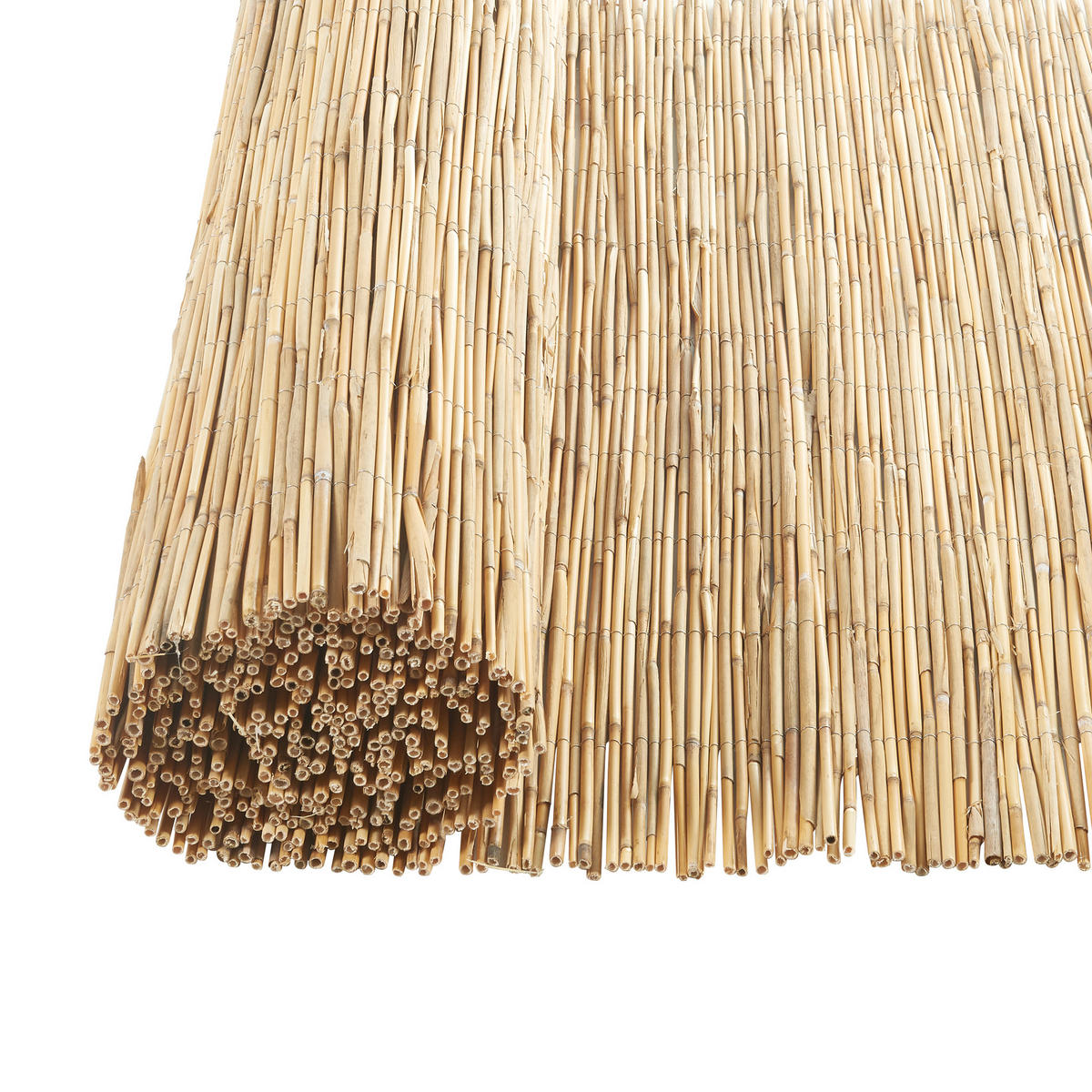 SCHILFZAUN Abbateggio - Naturfarben, Naturmaterialien (90/0.6cm) - casa.pro