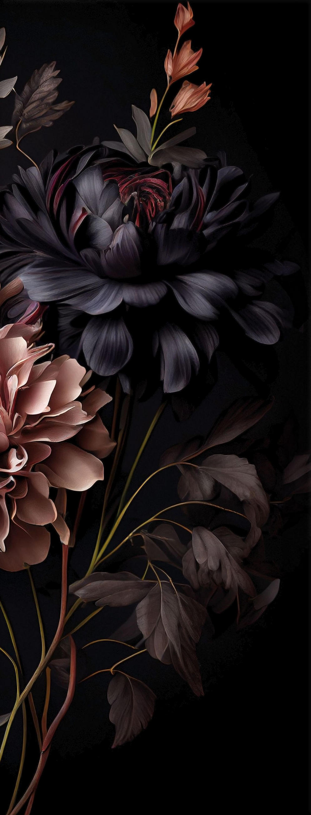 artissimo Glasbild Rosa 30x80 cm