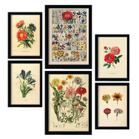 POSTER Set Mit 6 Blumen In Vintage A3 & A4 Rahmenlos - Klar, Papier (29/3cm) - Nacnic