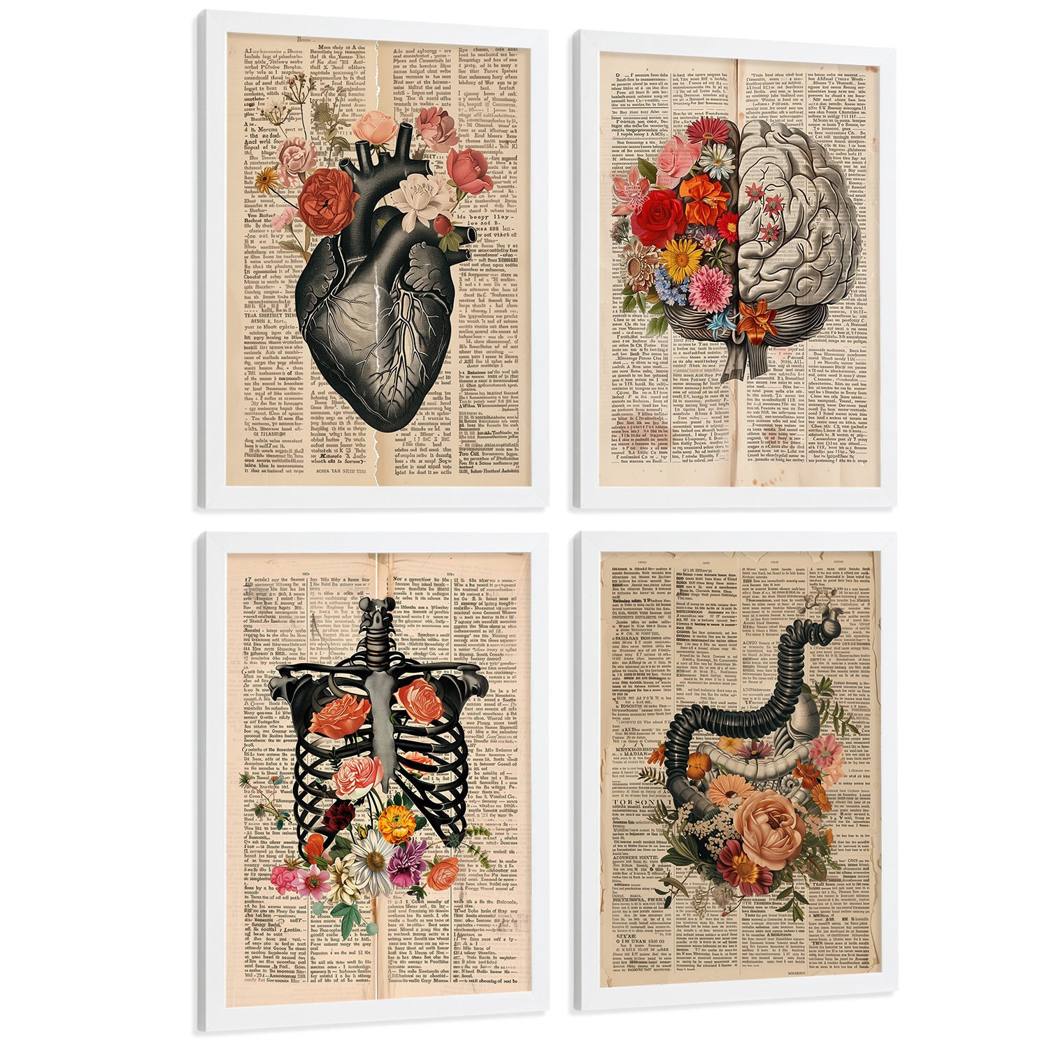 POSTER Set aus 4 Anatomie Drucke und Wandbilder mit Herz Gehirn Skelett und Darm Antiker Hintergrund Wanddekoration Größe Weißer Rahmen A3 - Weiß, Papier (29.7/42/3cm) - Nacnic
