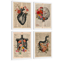POSTER Set aus 4 Anatomie Drucke und Wandbilder mit Herz Gehirn Skelett und Darm Antiker Hintergrund Wanddekoration Größe Weißer Rahmen A3 - Weiß, Papier (29.7/42/3cm) - Nacnic