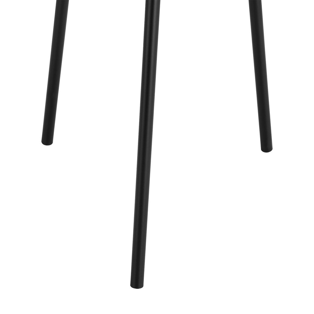 SADA STOJANŮ NA ROSTLINY, 2 KS Dalhem - černá, kov (32/79/32cm) - [en.casa]