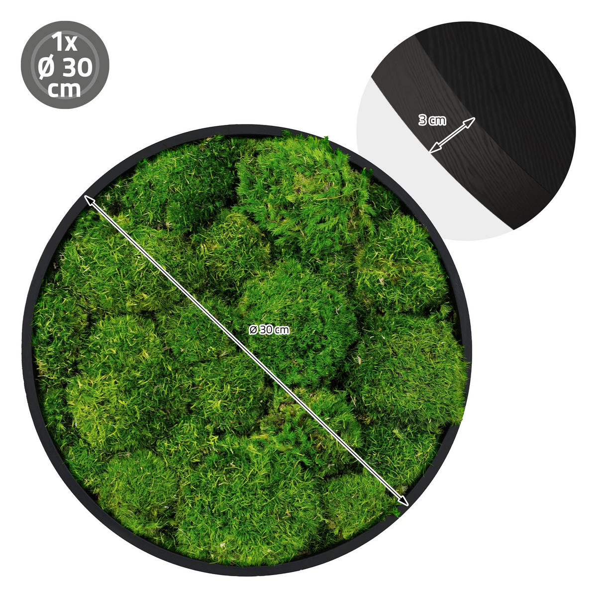 MOOSBILD Rund Ø 30 cm Mooswand Indoor mit Echtem Kugelmoos und Holzrahmen Grün Pflegefrei - Grün, Naturmaterialien (30/30/3cm) - ECD-Germany