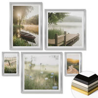 WANDBILDER 5er Set - 50x50 cm & 20x30 cm & 40x60 cm Silberner Rahmen - Libellen im Gras, Wassermalerei - Silberfarben, Kunststoff (40/60cm) - ArtPrintCave